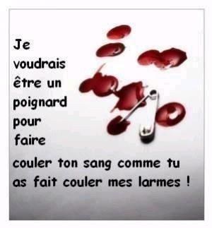 je voudrais......